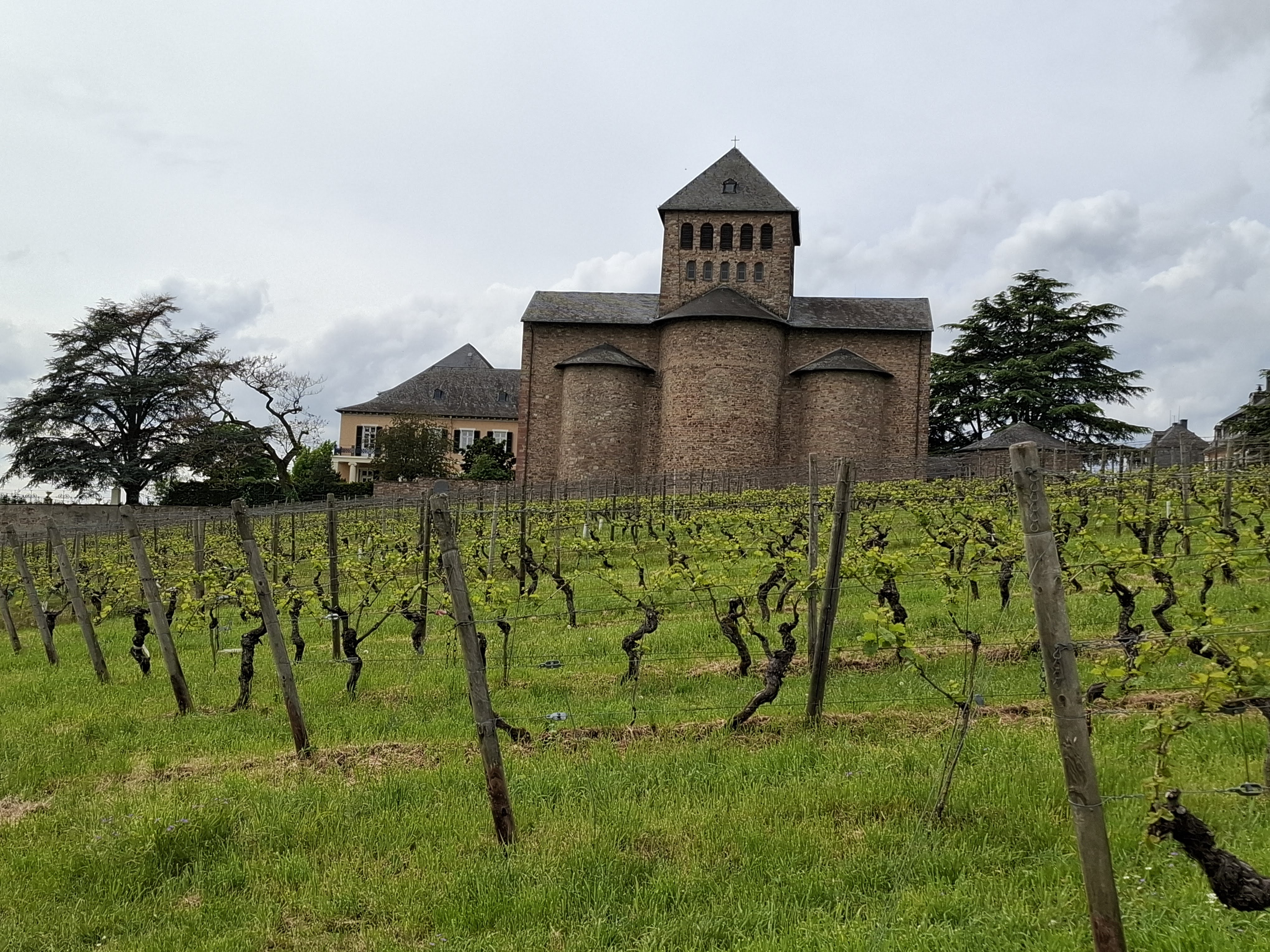 Schloss Johannisberg, set fra øst